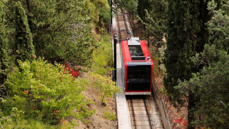 "Malinka" – nowa propozycja podróży pociągiem Polregio w lutym 2025